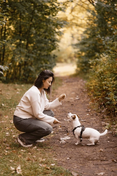 Glücklicher Hund mit Betreuerin