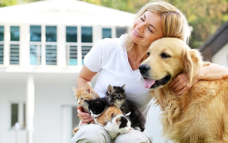 Hund beim Gassi gehen